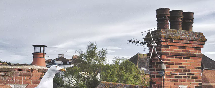 Chimney Cleaning And Restoration in Sapulpa, Oklahoma